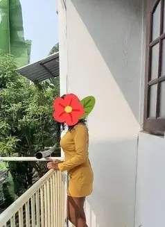 Roshani Independent Colombo Escorts - Photo 1